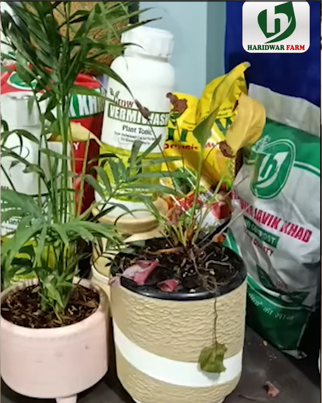haridwarfarms