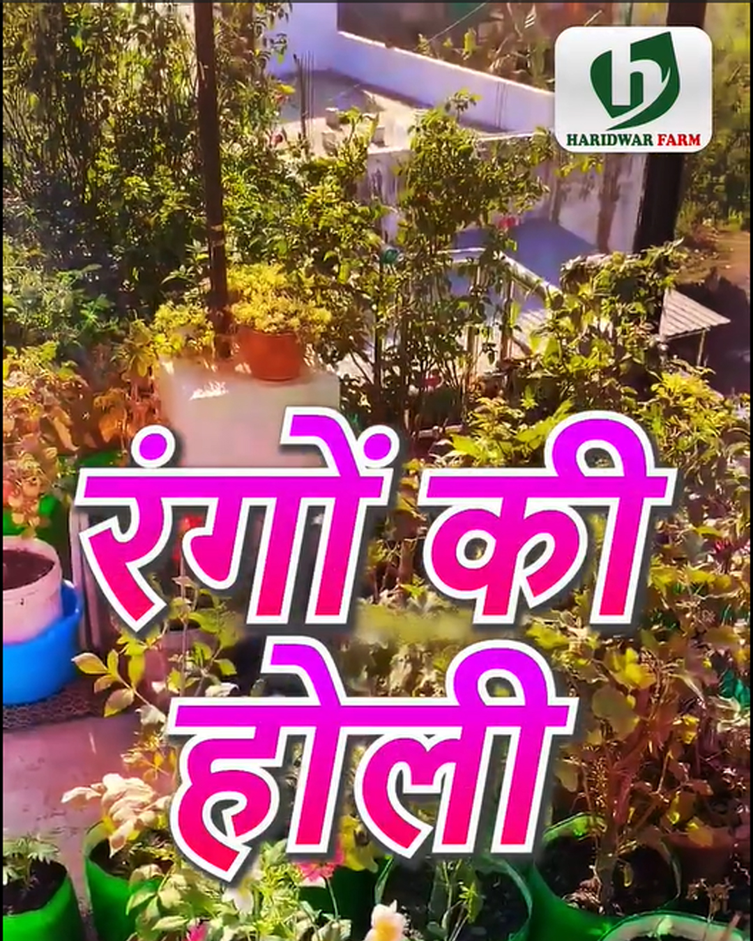 haridwarfarms
