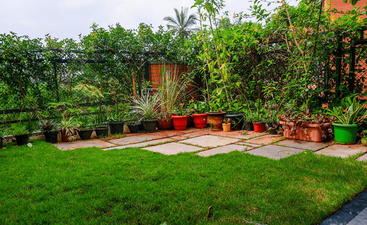 Terrace Garden