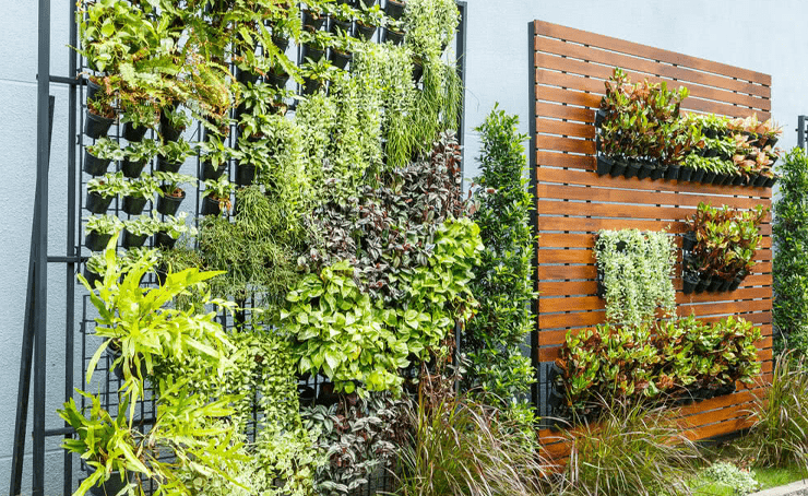 Vertical gardens