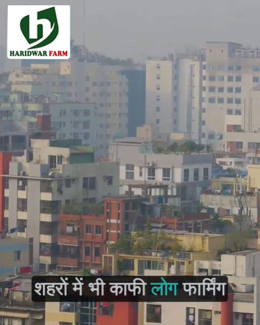 haridwarfarms