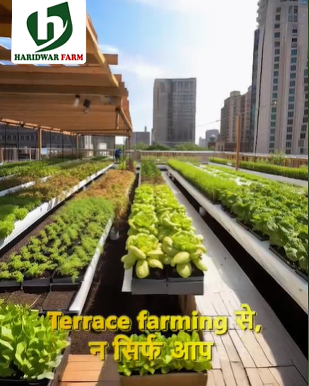 haridwarfarms